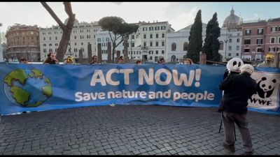 Cop16 biodiversità: il flashmob del Wwf per rompere il silenzio