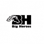 Big Horses di Bologna Barbara