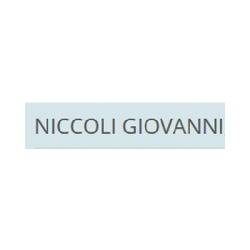 Niccoli Giovanni Impianti di Riscaldamento e Condizionamento logo