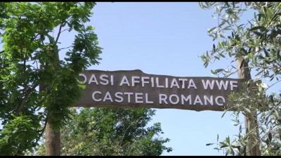 Accanto a Castel Romano Designer Outlet apre l'Oasi affiliata WWF