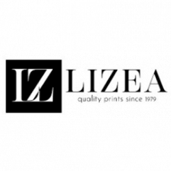 Lizea logo