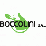 Boccolini Srl