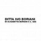 Ditta Ivo Boriani