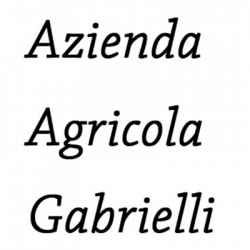 Azienda Agricola Gabrielli logo