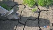 Caldo e siccità ci costano caro