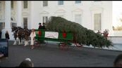 Melania Trump riceve l'albero di Natale alla Casa Bianca