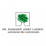 Rungger Dr. Josef Ludwig