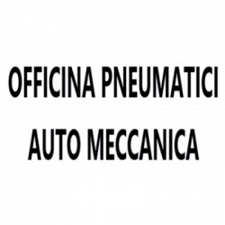 Officina Maccanica e Pneumatici - Auto Meccanica Srl logo