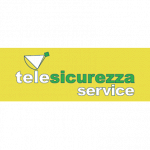 Telesicurezza Service