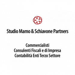 Studio di Consulenza Mamo & Schiavone Partners logo