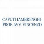 Caputi Iambrenghi Prof. Avv. Vincenzo - Studio Legale