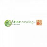 Gea Consulting