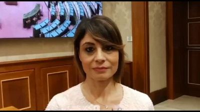 Comunicazione creativa, libro Maimone presentato al Senato