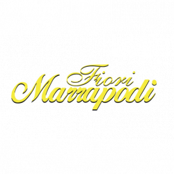 Fiori Matrimoni e Onoranze Funebri di Pino Marrapodi logo