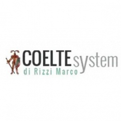Coelte System logo