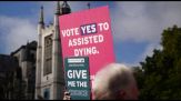 Fine vita, a Londra manifestazioni pro e contro il disegno di legge