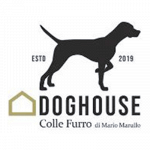 Doghouse Pensione per Cani Parco Giochi per Cani Area Cani