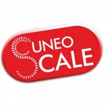 Cuneo Scale