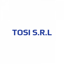 Impresa Edile Tosi Srl logo