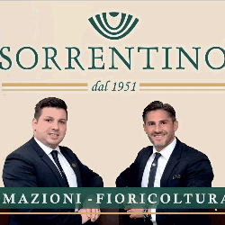 Agenzia Funebre Dal 1880 Erminio Pani Gruppo Sorrentino logo