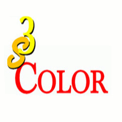 3S Color logo