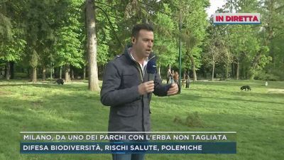 Cambiamento climatico e provvedimenti in città
