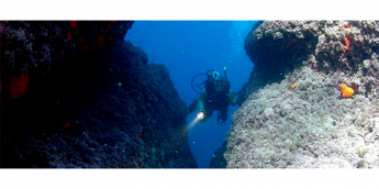 La Boa Charter & Diving immersione