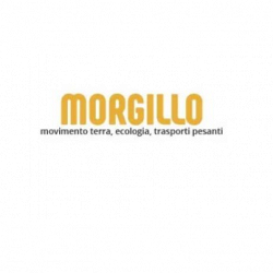 Morgillo logo