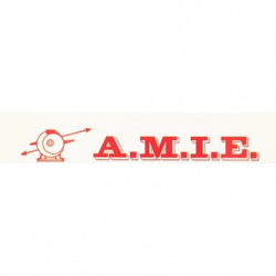 A.M.I.E logo