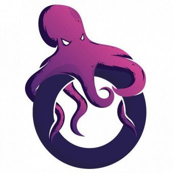 Octopus Web - Web Agency Torino - Siti Web e Digital Marketing