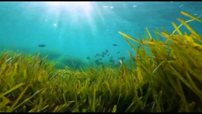 Blue Economy, premi a imprese e studenti per progetti innovativi