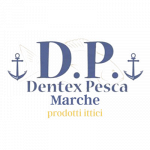 Dentex Pesca Marche