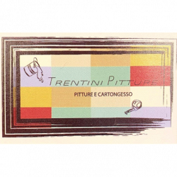 Trentini Pitture Cartongessi logo