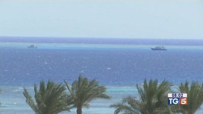 Terrore nel Mar Rosso: squalo uccide italiano