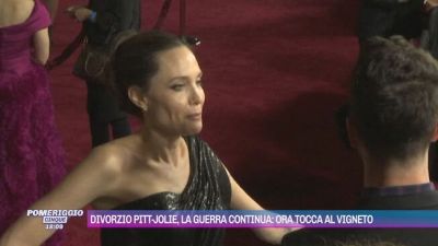 Divorzio Pitt-Jolie, la guerra continua: ora tocca al vigneto