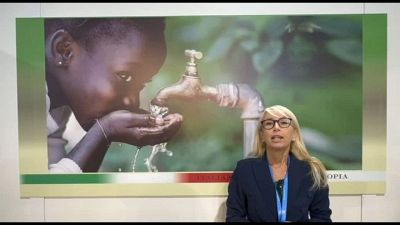 COP29, Paparella (RemTech Expo): approccio sistemico e sinergico