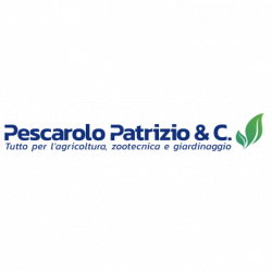 Patrizio Pescarolo logo