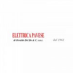 Elettrica Pavese dal 1961