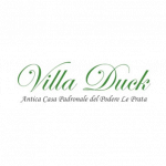 Villa Duck
