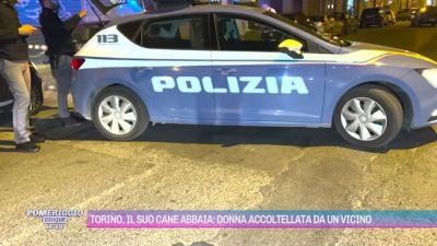 Torino, il suo cane abbaia: donna accoltellata da un vicino