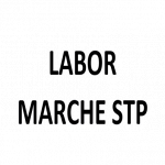 Labor Marche Stp