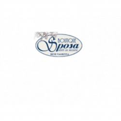 Boutique della Sposa logo