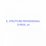 E. Strutture Professionali