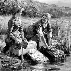 Lavanderia Acqua e Sapone logo