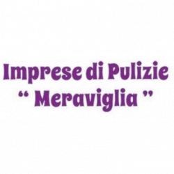 Impresa di Pulizie Meraviglia logo