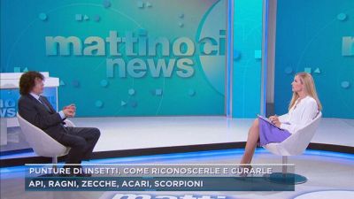 Punture di insetti, come riconoscerle e curarle