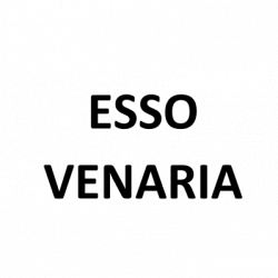 Esso Venaria logo
