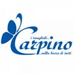 Carpino