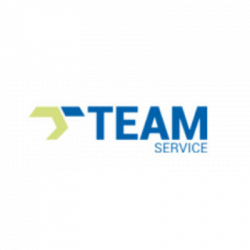 Team Service - Cinisello Balsamo logo