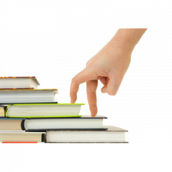 Libreria Nuova Fim Libro logo